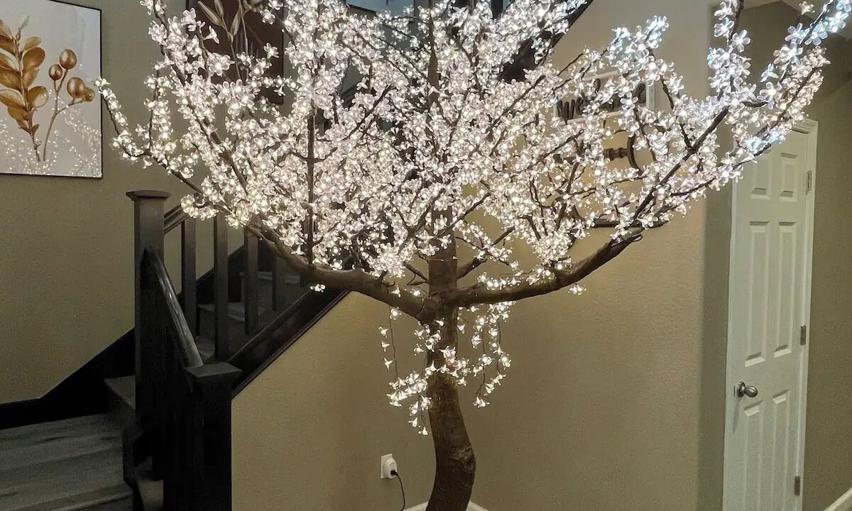 Photo of Others in Elk Grove