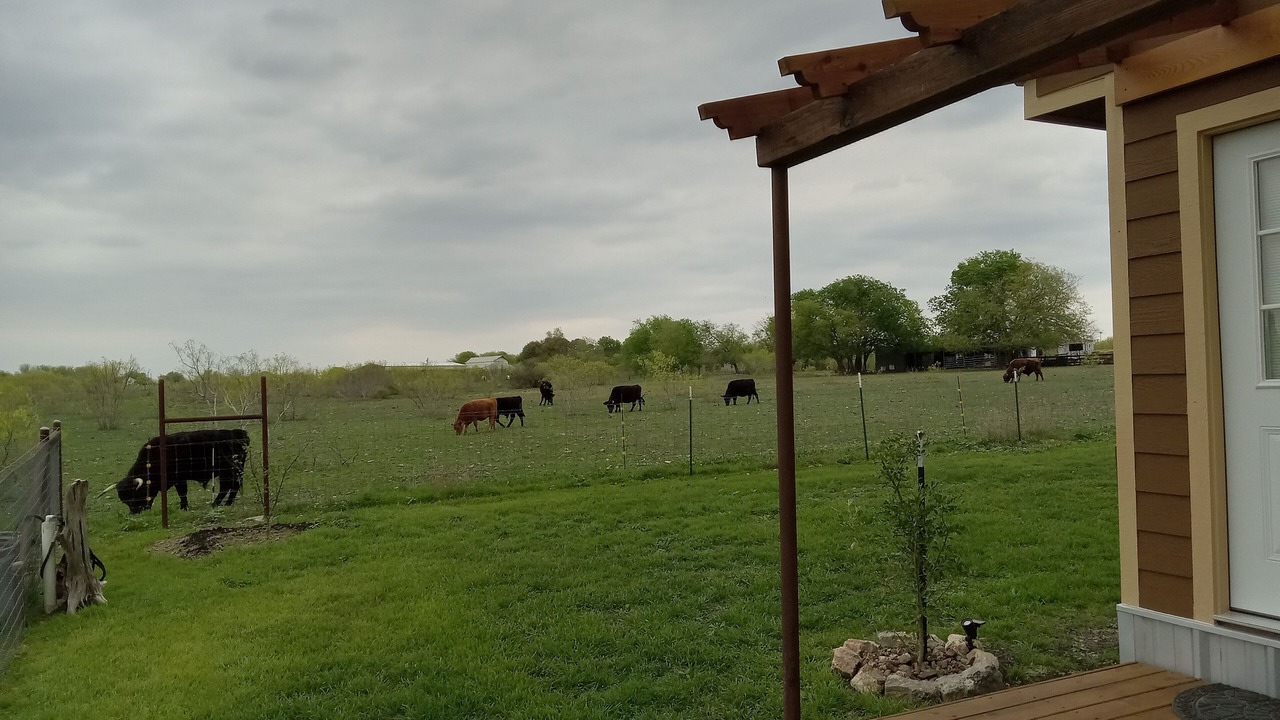 Photo of Outdoor in San Marcos