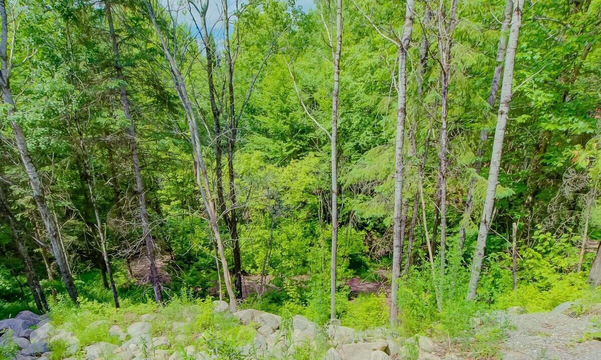Photo of Outdoor in Pont-Rouge