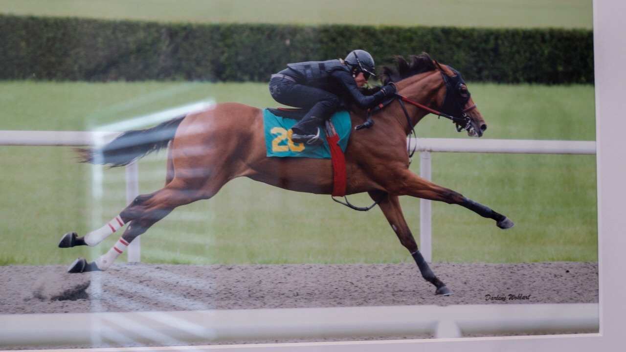 Photo of Others in Speed