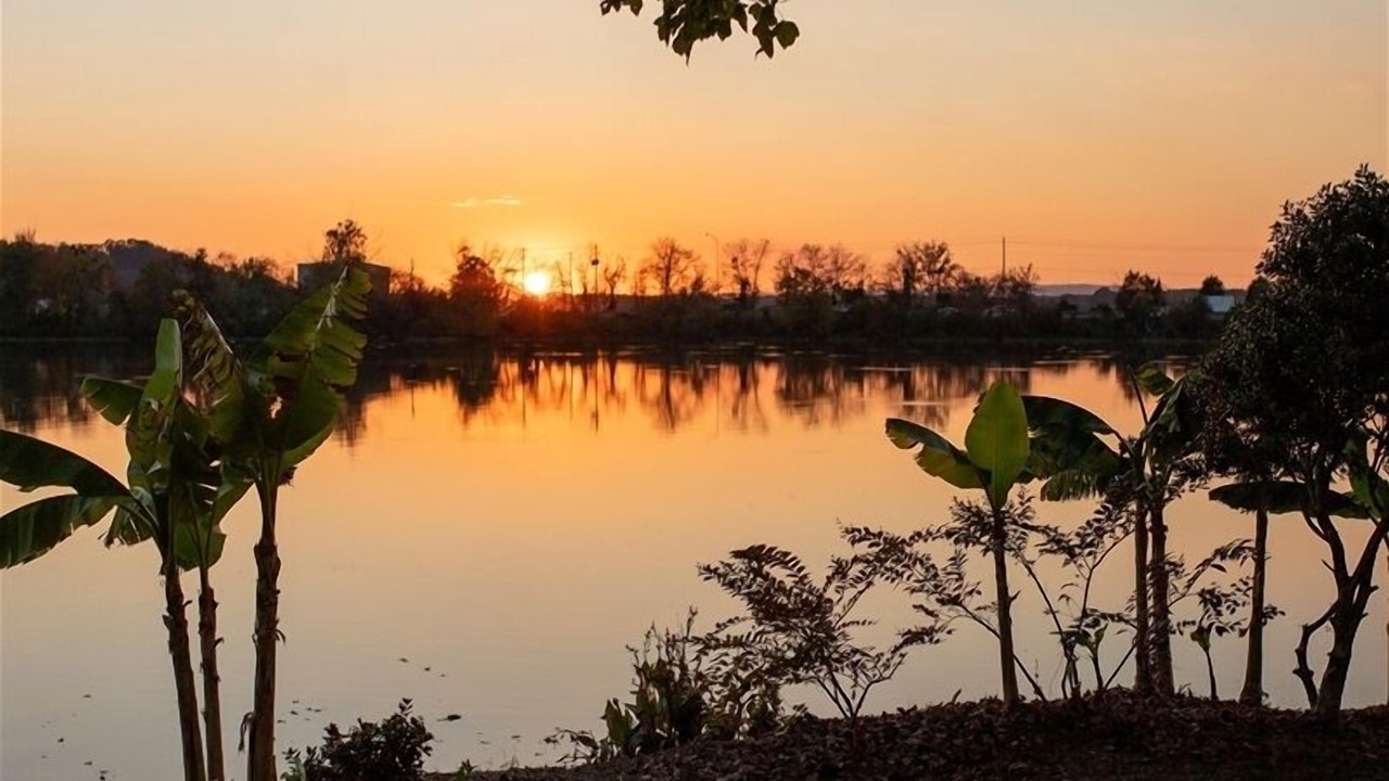 Photo of Others in Gadsden