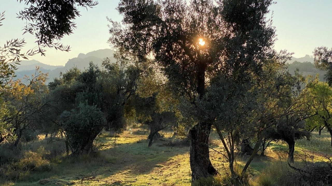 Photo of Others in Arnes