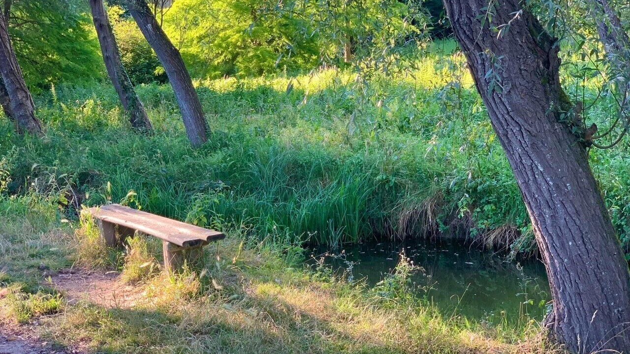 Photo of Outdoor in Camp De Satory