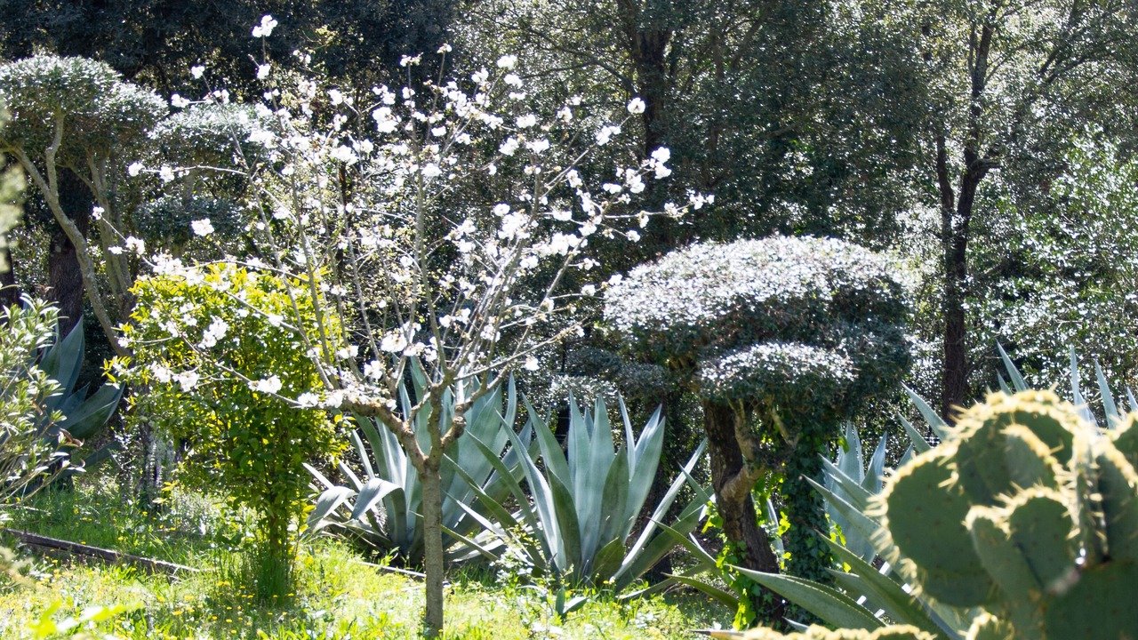 Photo of Outdoor in Vidreres