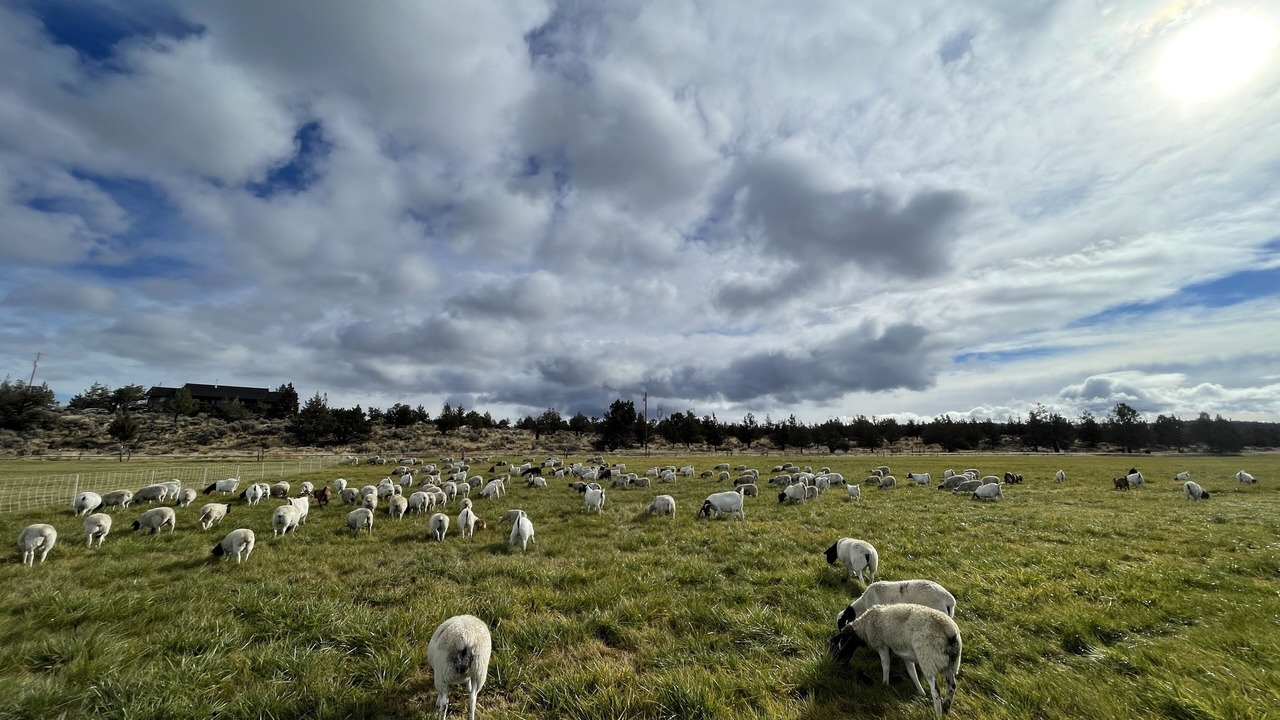 Photo of Others in Powell Butte