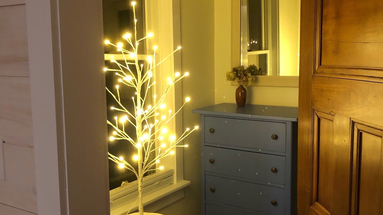 Photo of Others in Rockport