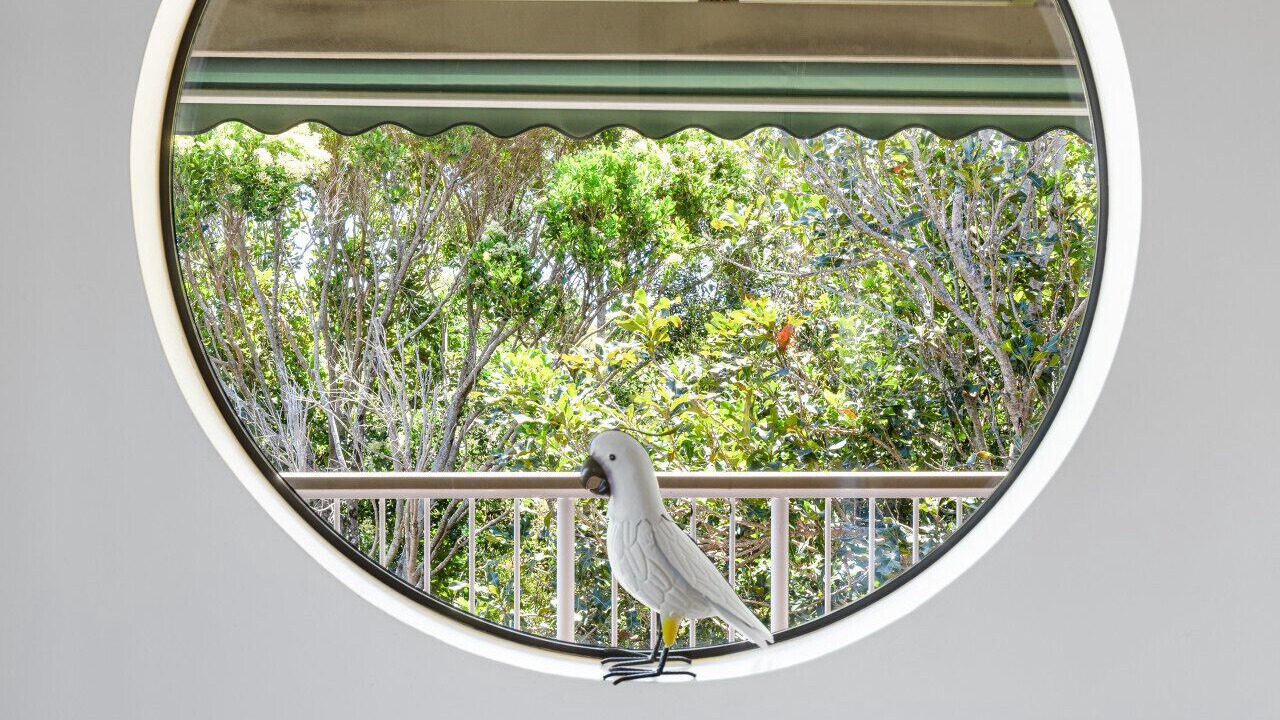 Photo of Others in Point Arkwright