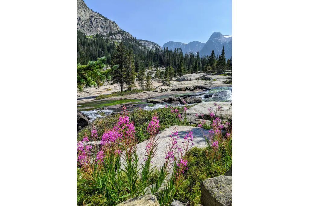Photo of Others in Cooke City-Silver Gate