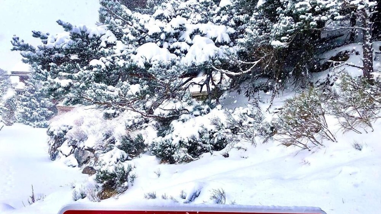 Photo of Outdoor in Superbolquere