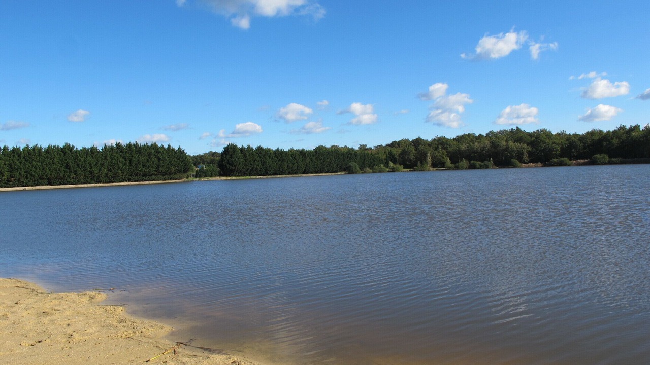 Photo of Others in Fontaines-en-Sologne