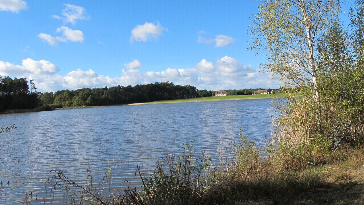 Photo of Others in Fontaines-en-Sologne