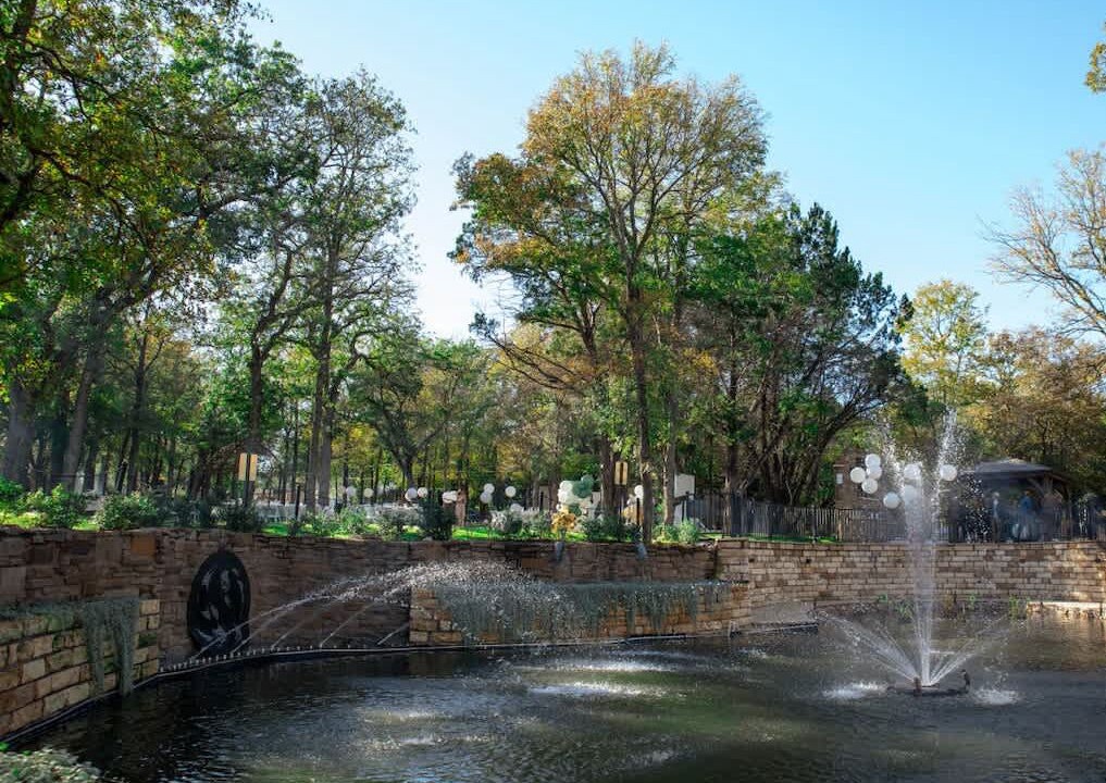 Photo of Outdoor in Austin