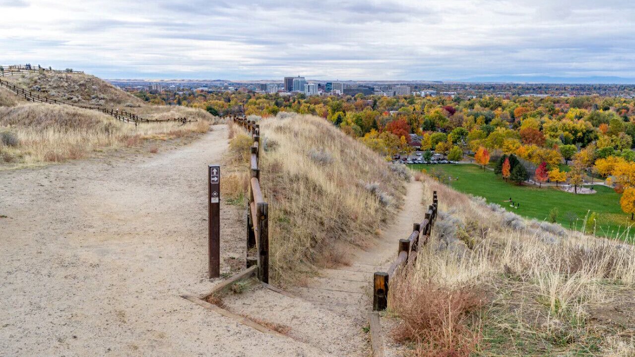 Photo of Others in North End