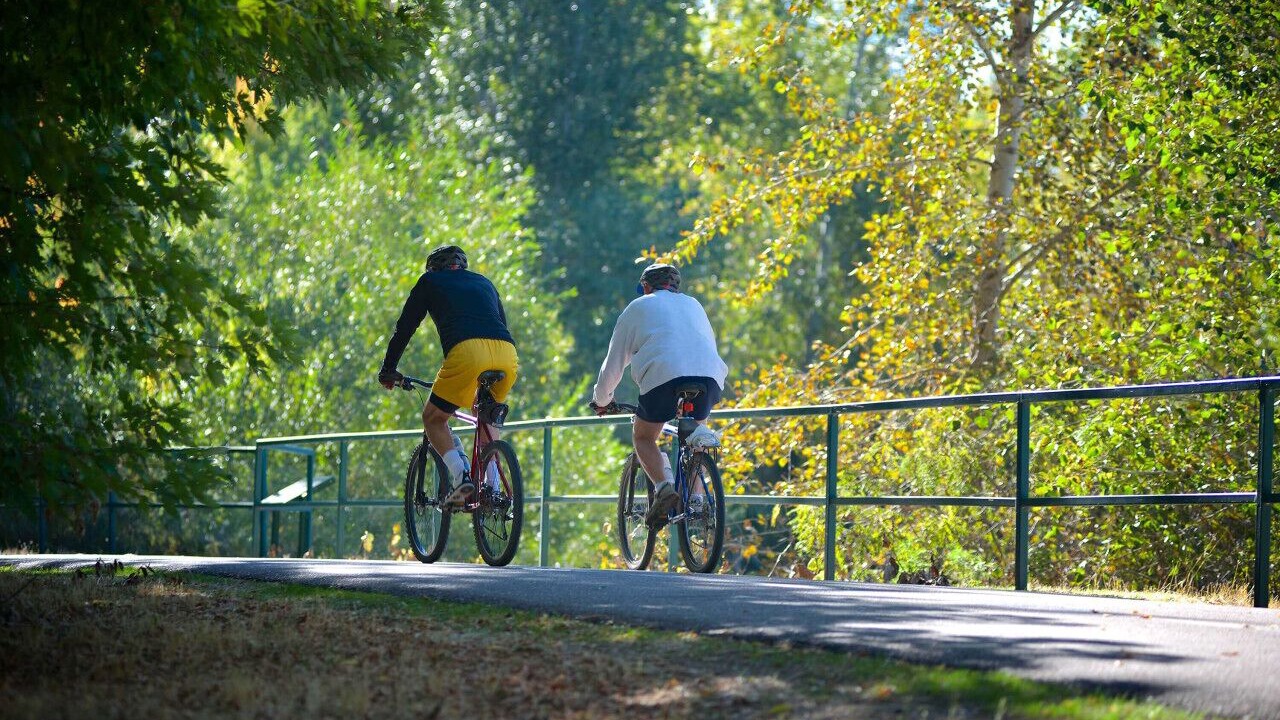 Photo of Others in North End