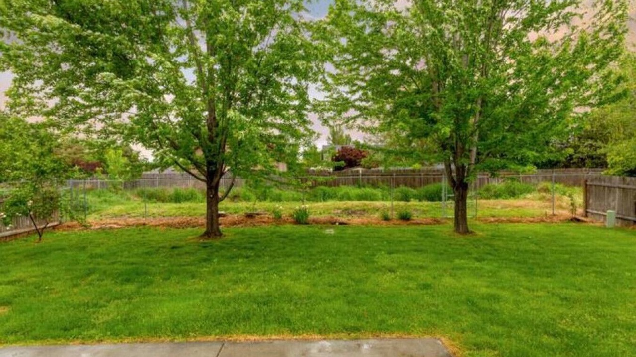 Photo of Others in Star