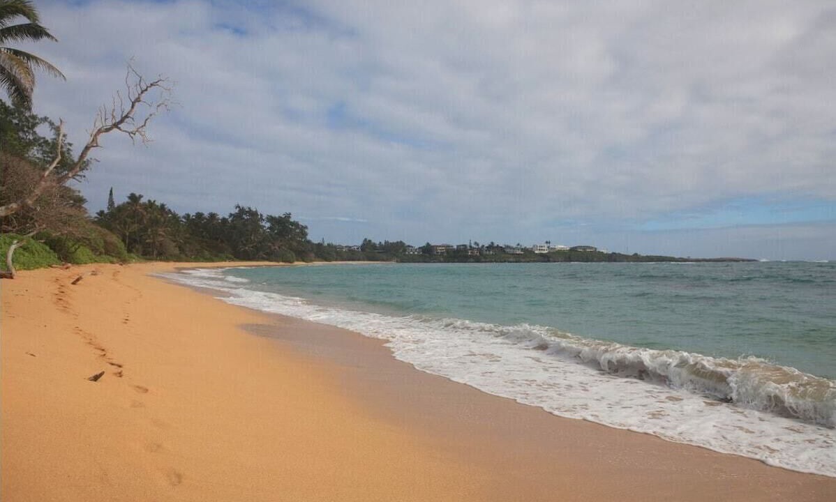 Photo of Others in Laie