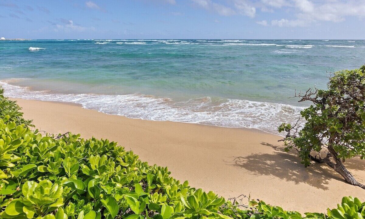 Photo of Others in Laie