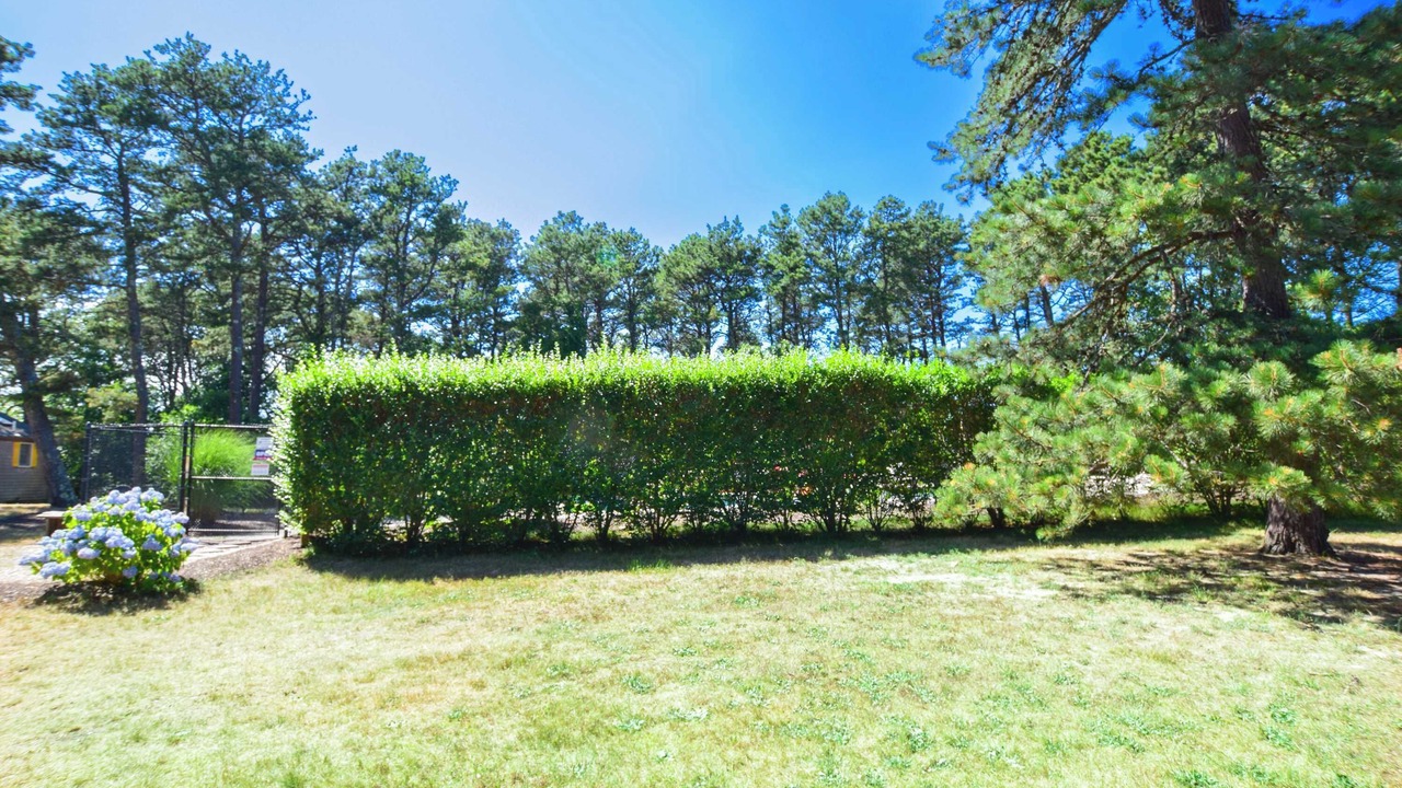 Photo of Outdoor in Wellfleet