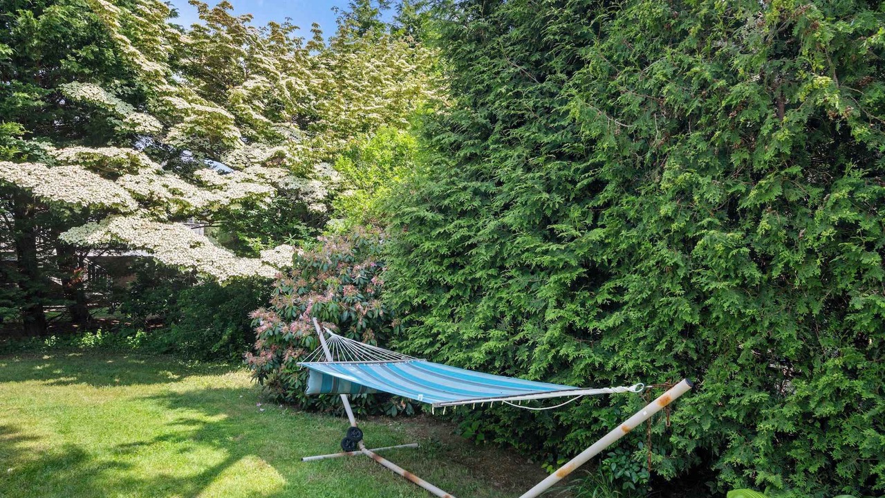 Photo of Outdoor in South Chatham