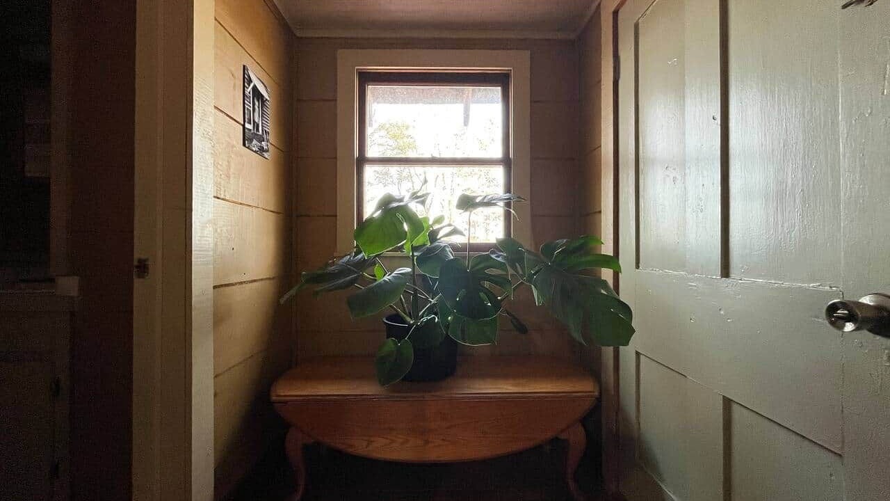 Photo of Others in Chatsworth