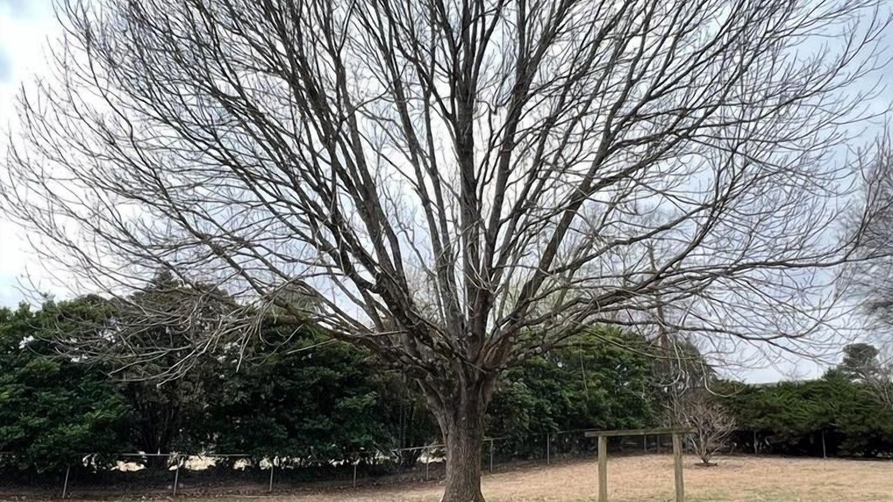 Photo of Outdoor in Mauldin