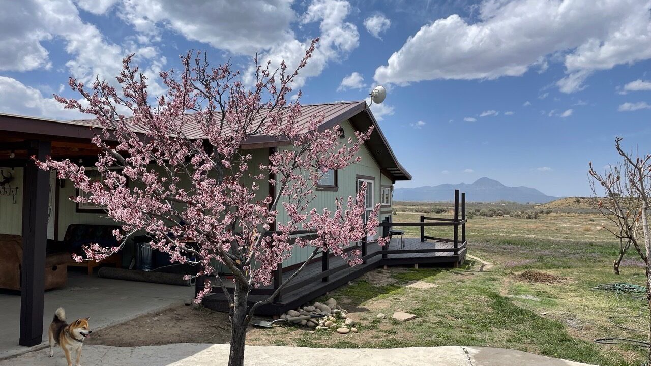 Photo of Outdoor in Cortez