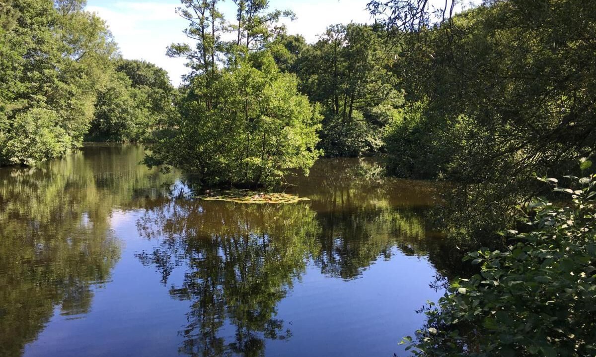 Photo of Outdoor in Swafield