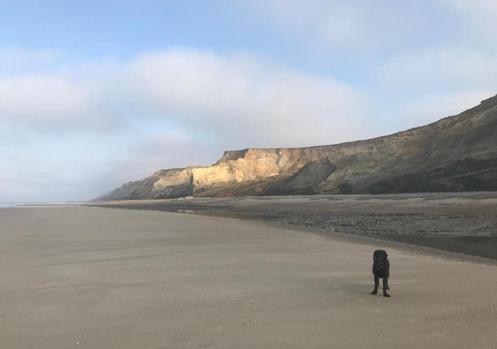 Photo of Others in Swafield