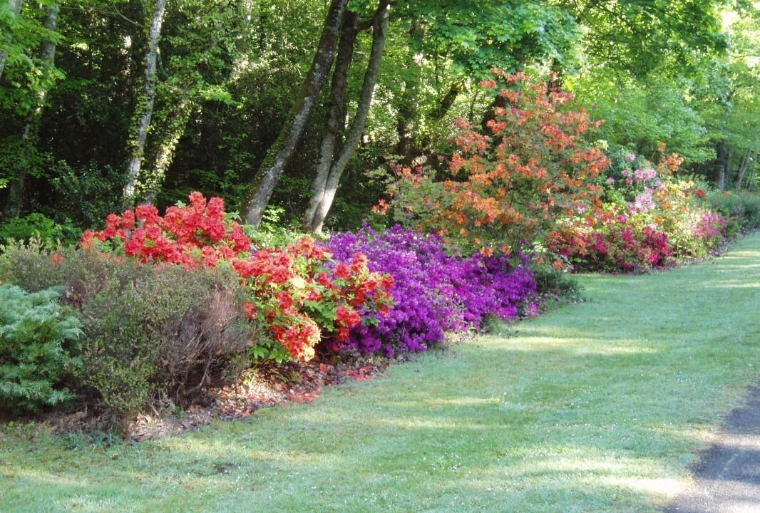 Photo of Outdoor in Erdeven