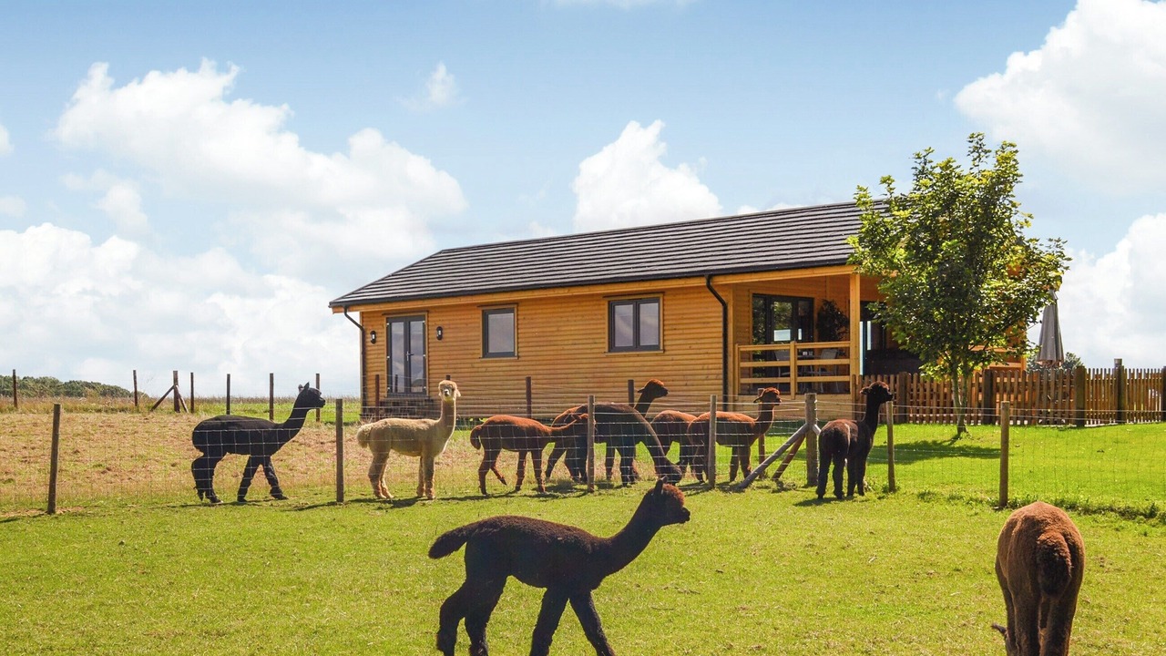 Photo of Outdoor in Welby