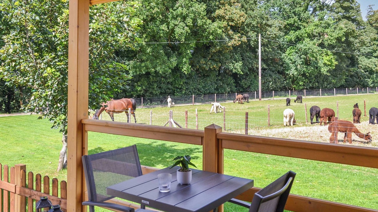 Photo of Others in Welby