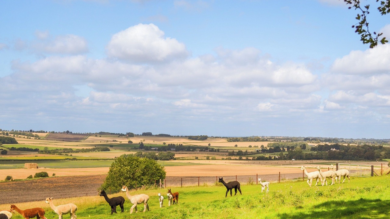 Photo of Others in Welby