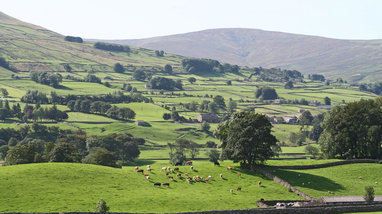 Photo of Others in Gayle