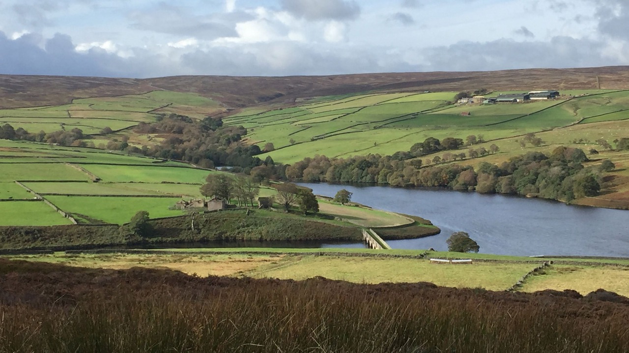 Photo of Others in Masham