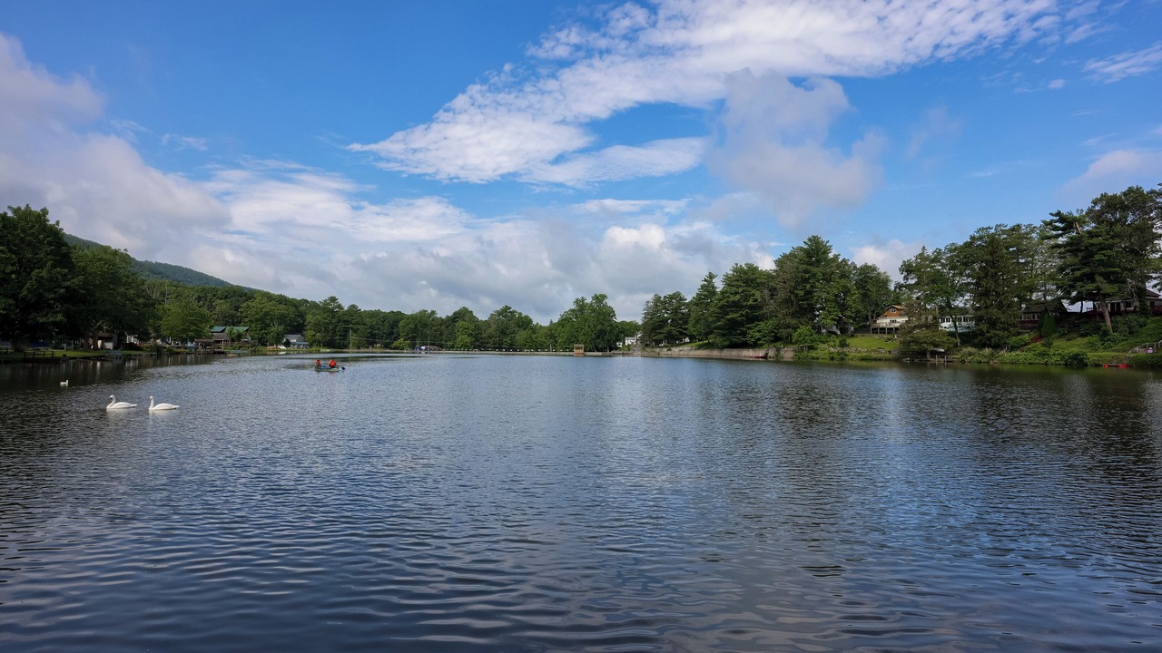 Photo of Others in Beurys Lake