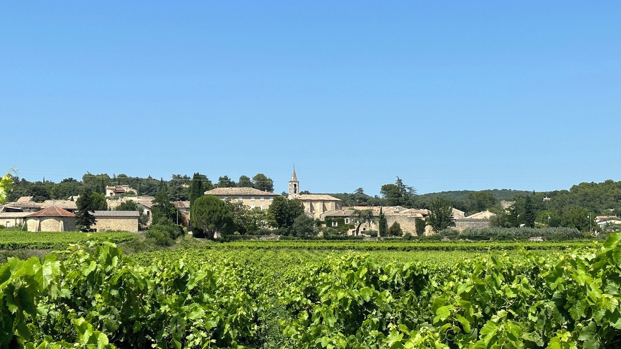 Photo of Others in Saint Michel d'Euzet