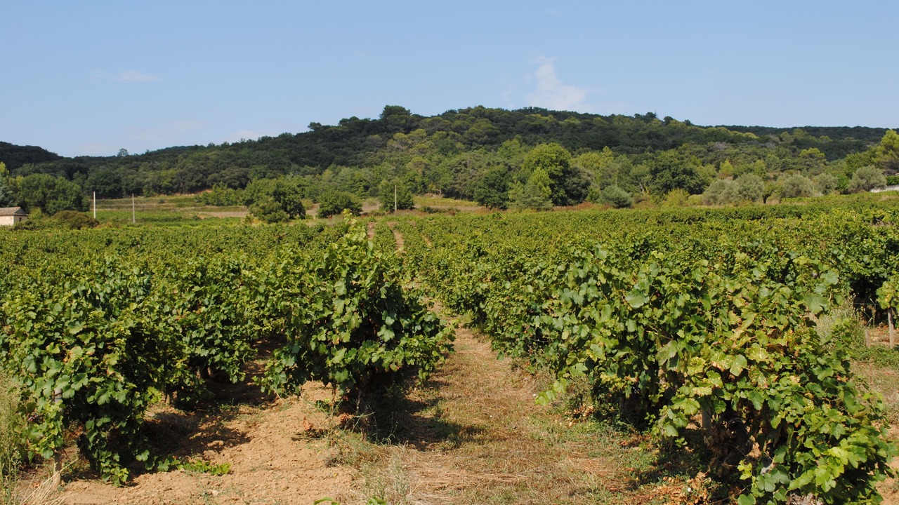 Photo of Outdoor in Saint Michel d'Euzet