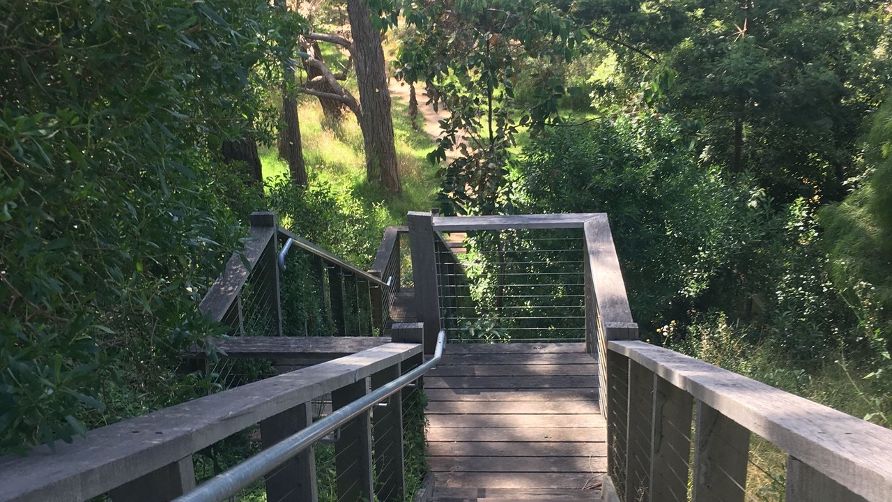 Photo of Others in St Leonards