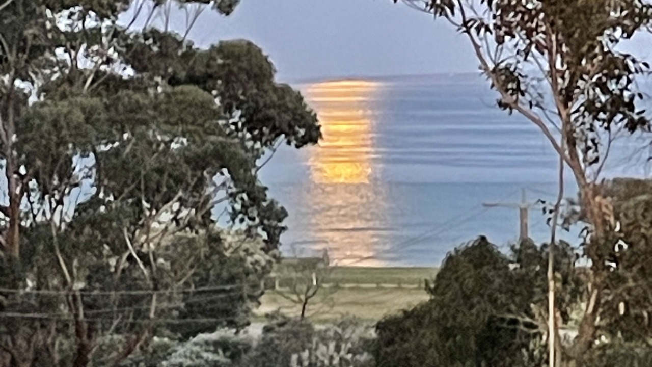 Photo of Others in St Leonards