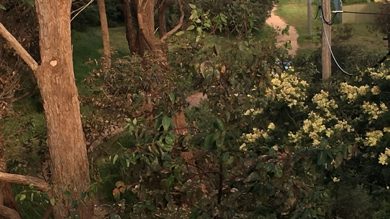 Photo of Others in St Leonards