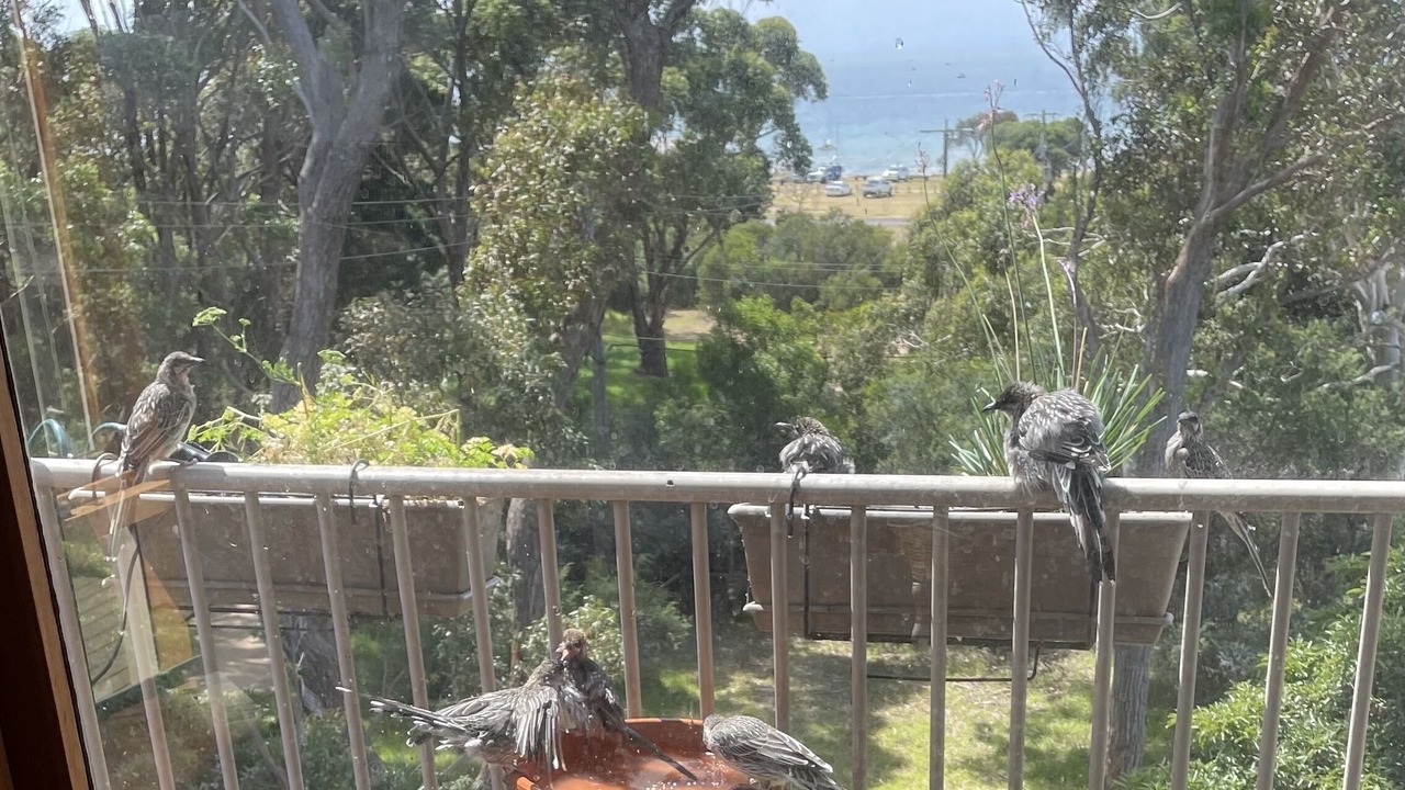 Photo of Others in St Leonards