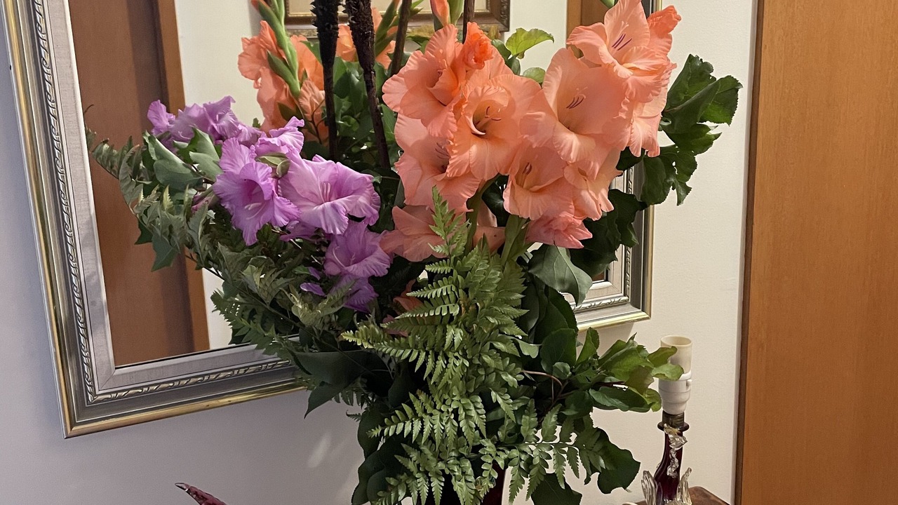 Photo of Others in St Leonards