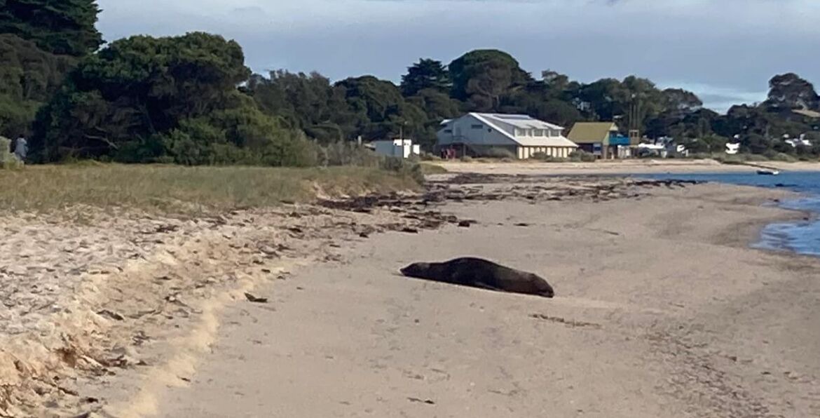 Photo of Others in St Leonards