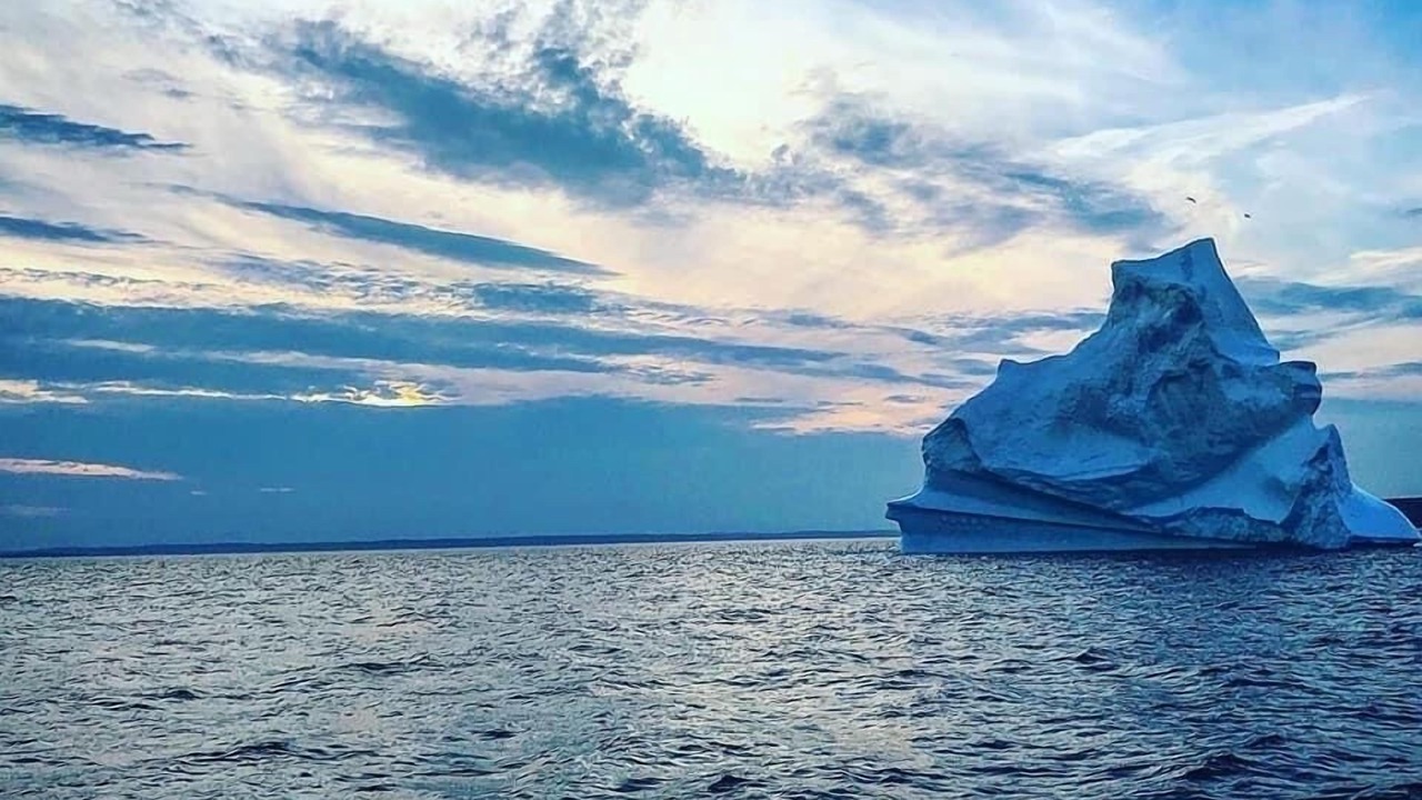 Photo of Others in Downtown St. John's