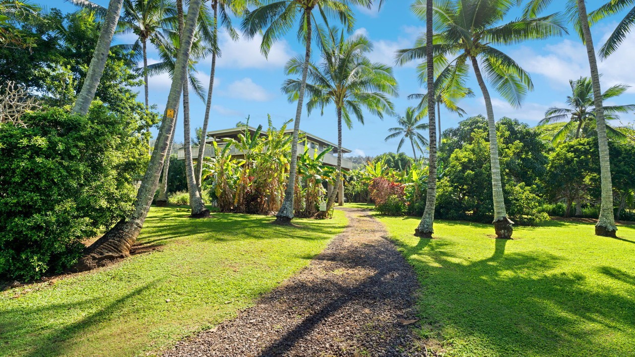 Photo of Others in Kilauea