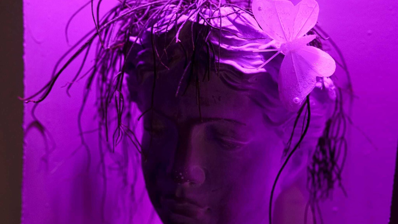 Photo of Others in Lallaing