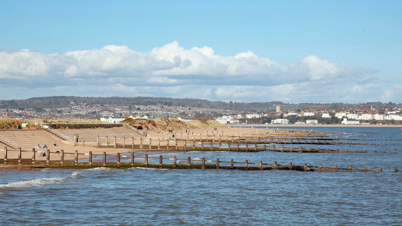 Photo of Others in Dawlish
