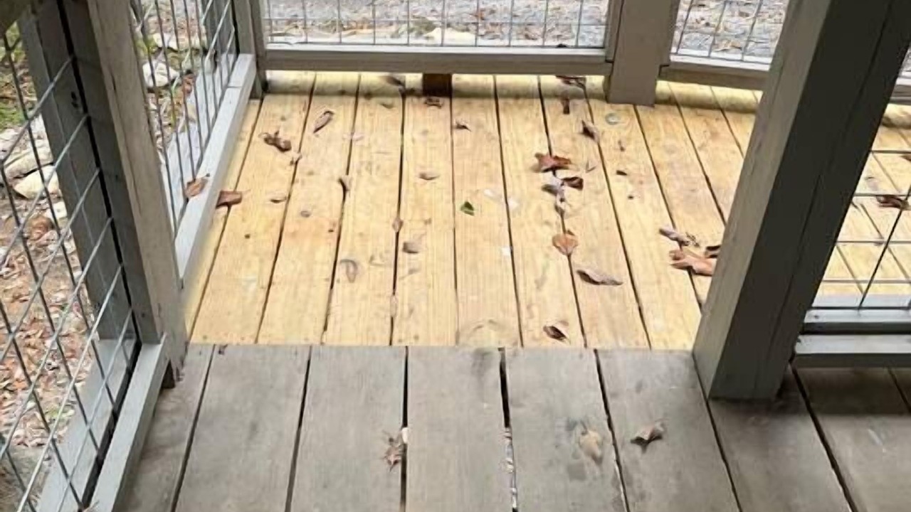 Photo of Outdoor in Mentone