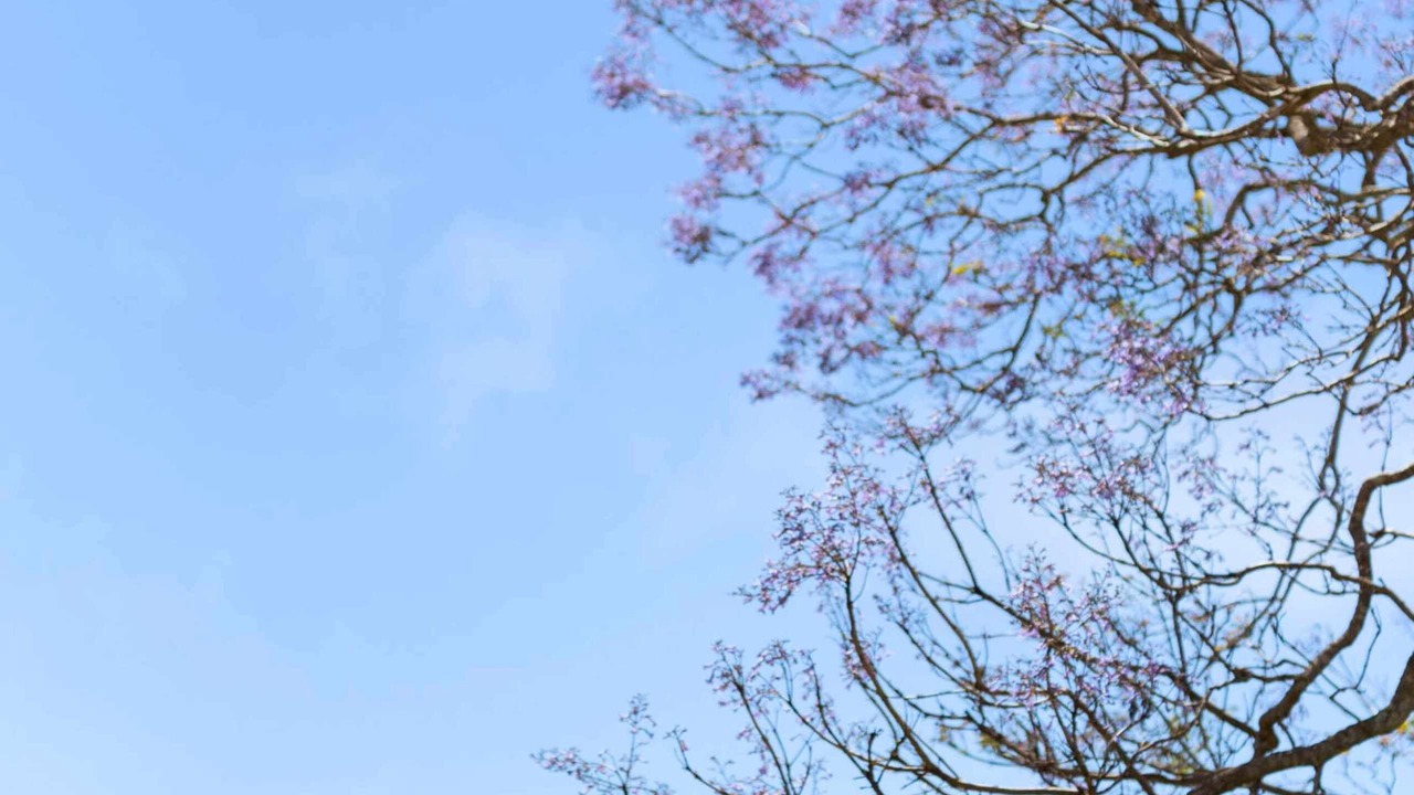 Photo of Others in Burrill Lake