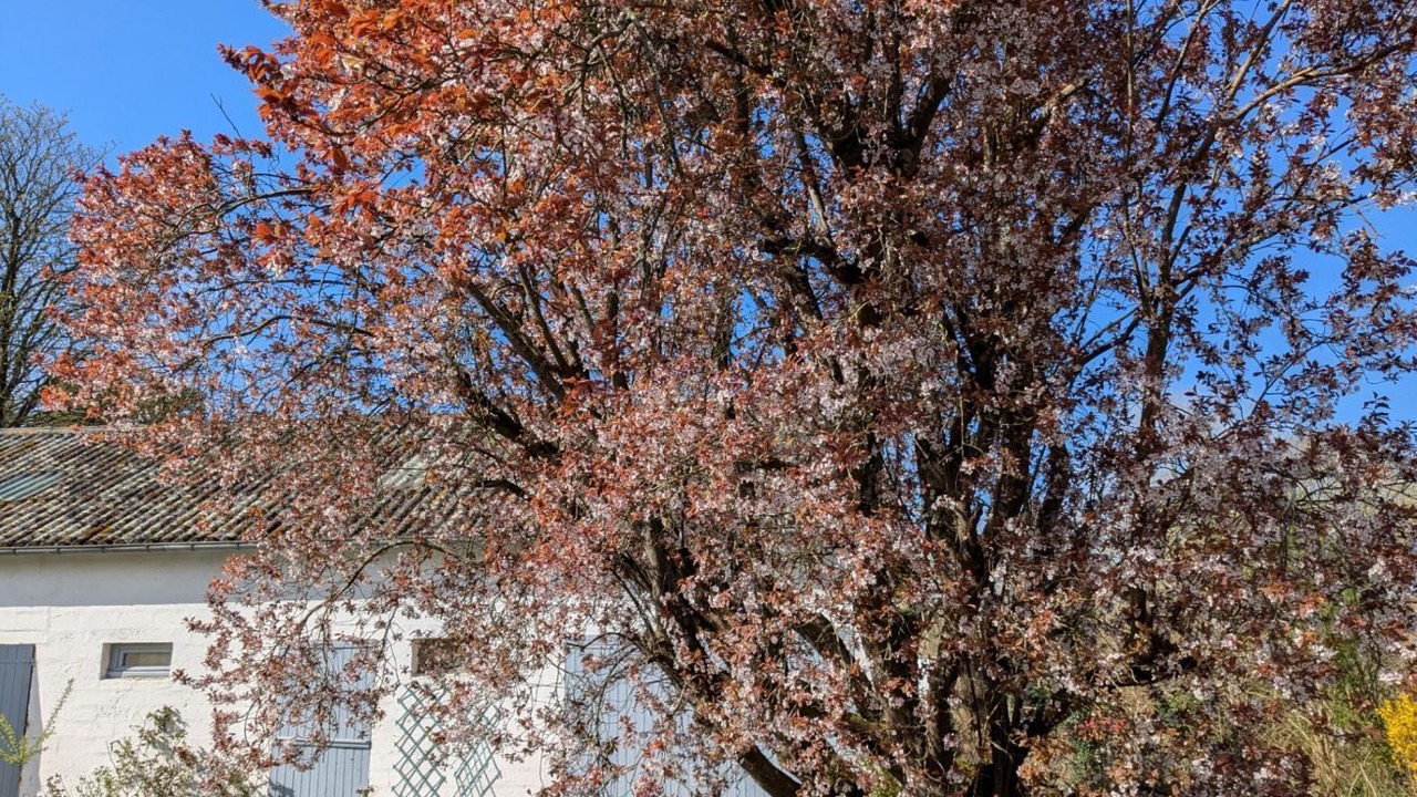Photo of Outdoor in Saint-Quentin-en-Tourmont